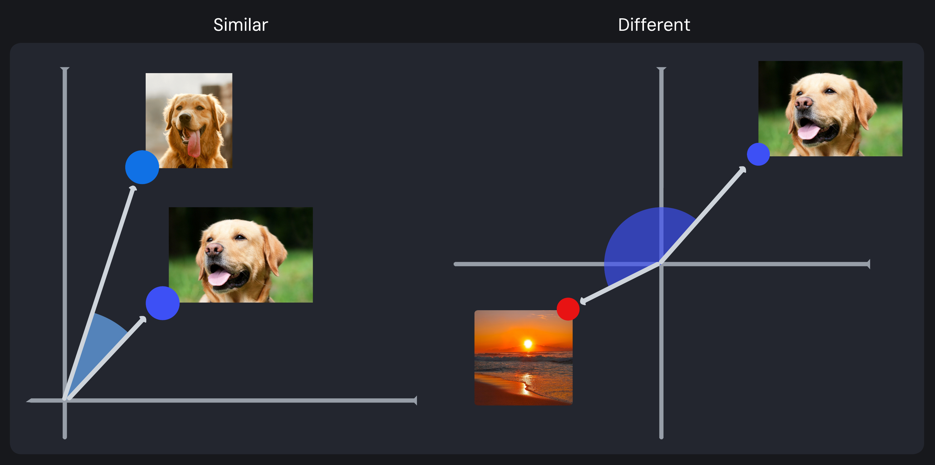 Comparison of cosine similarity: similar vectors (two dogs) with a small angle versus different vectors (dog and sunset) with a large angle